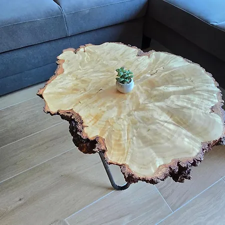 Savinjski Raj Apartment