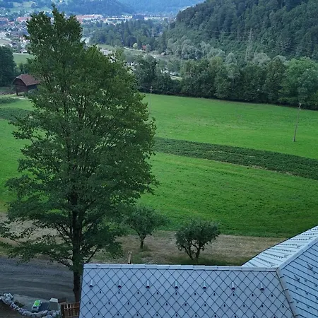 Savinjski Raj Apartment *