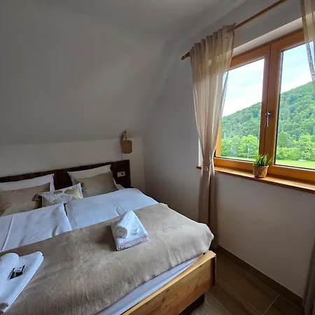 Apartment Savinjski Raj Mozirje