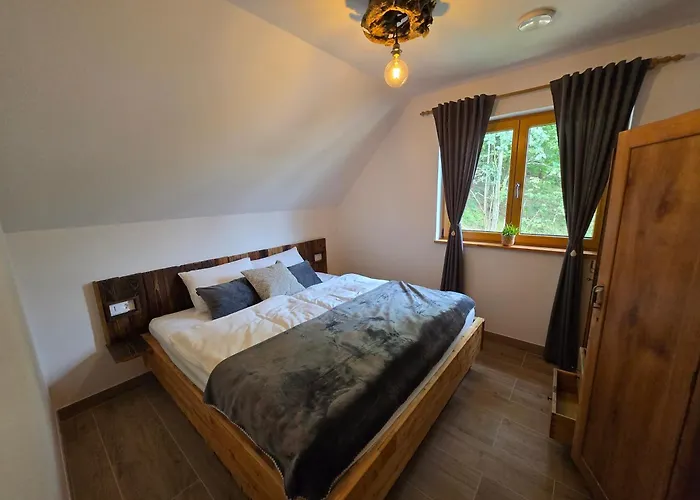 Savinjski Raj 莫济列