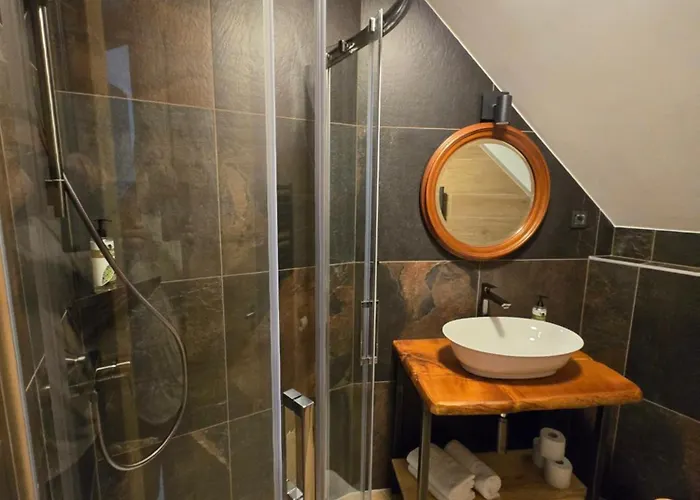 Savinjski Raj 莫济列