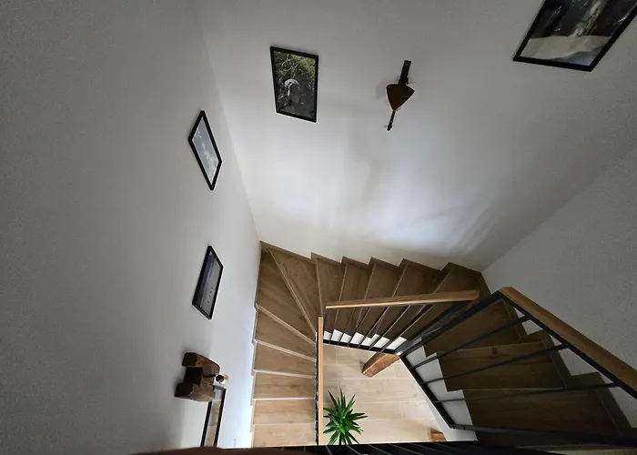 Savinjski Raj Mozirje